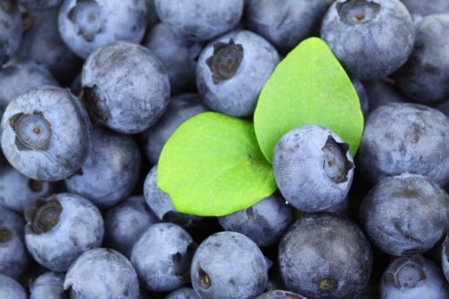 background-2281_640
