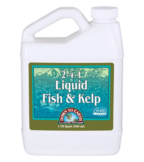Liquid Fish & Kelp 2-4-1 – Down To Earth Fertilizer
