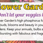 Click here to check out our new Flower Garden Fertilizer